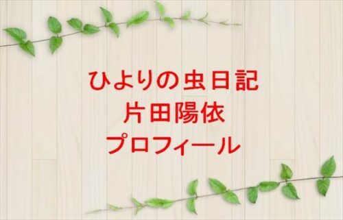 ひよりの虫日記の片田陽依は何者?年齢や本名やプロフィールは?彼氏やSNSは?