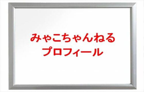 みゃこ(YouTuber)は何者？年齢や本名やプロフィールは？結婚や彼氏やSNSは？