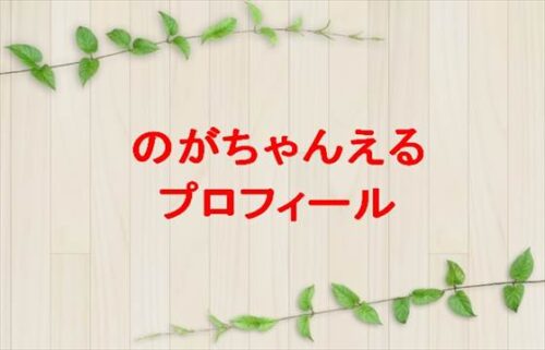 のがちゃんねる(YouTuber)は何者?年齢や本名やプロフィールは?旦那や子供やSNSは?