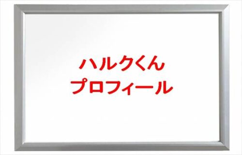 ハルクくん(筋肉YouTuber)は何者?結婚相手や馴れ初めは?年齢や本名やプロフィールやSNSは?