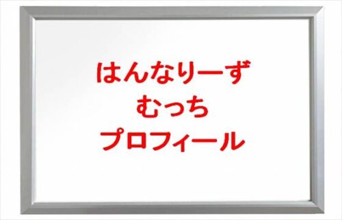 はんなりーず(YouTuber)のむっちは何者？年齢や本名やプロフィールは？結婚や彼氏やSNSは？
