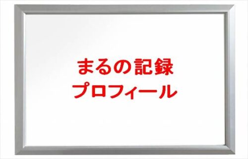 まるの記録(YouTuber)は何者?年齢や本名やプロフィールは?結婚や彼氏やSNSは?