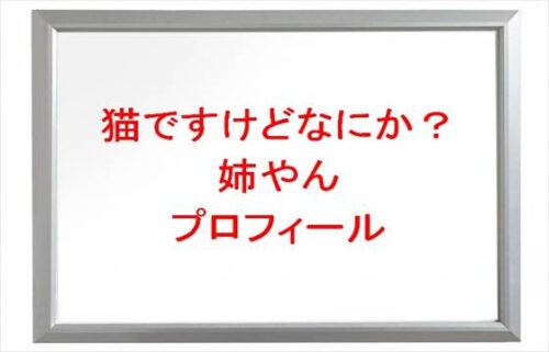 猫ですけどなにかの姉やんは何者で素顔は？年齢や本名やプロフィールは？結婚や彼氏やSNSは？