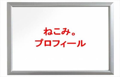 ねこみ。(TikTok)は何者?旦那や馴れ初めは?年齢や本名やプロフィールやSNSは?