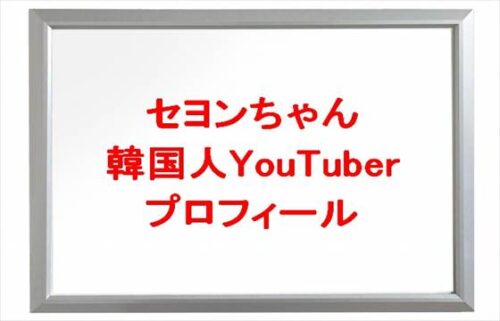 セヨンちゃん(韓国人YouTuber)は何者で国籍は?年齢や本名やプロフィールは?結婚や彼氏やSNSは?