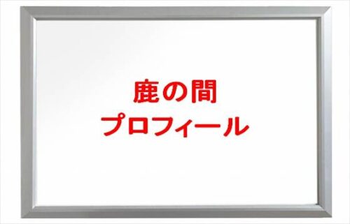鹿の間(美容YouTuber)は何者で整形は？年齢や本名やプロフィールは？結婚や彼氏やSNSは？