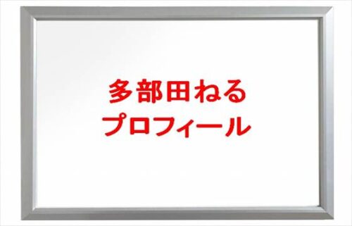 多部田ねるの仕事は？元旦那や離婚原因や子供は？年齢や本名やプロフィールやSNSは？